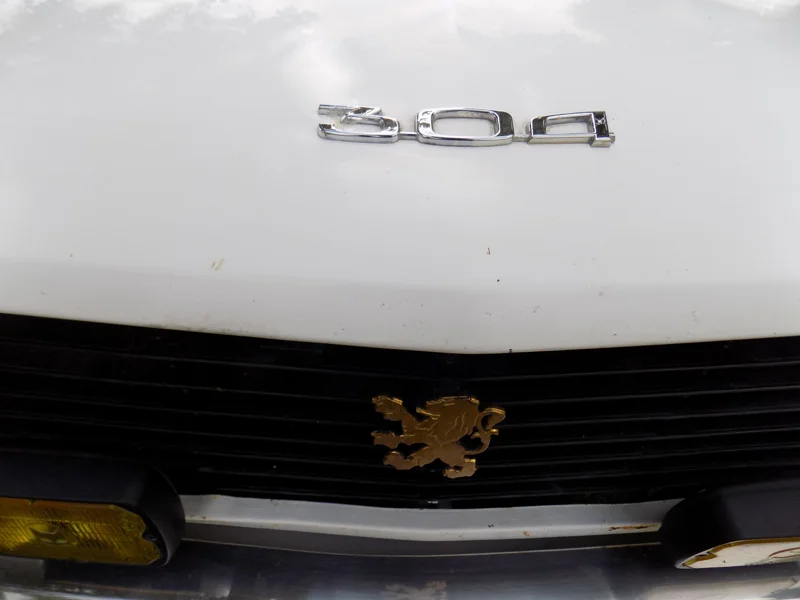 Peugeot 304 - Gros plan