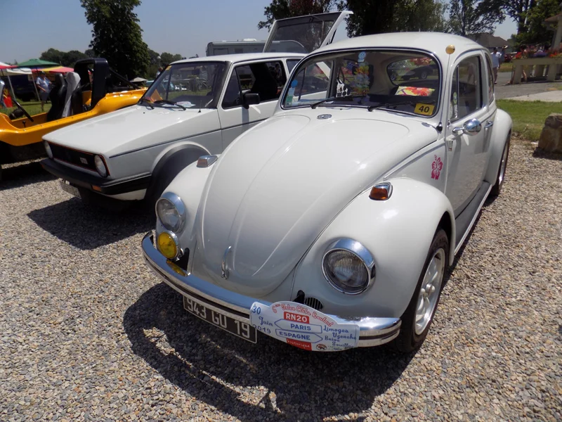 Inconnue et Coccinelle