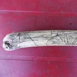 Bâton décoré par des insectes