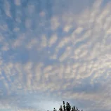 Cirrocumulus