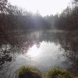 Étang du bois des Bruges