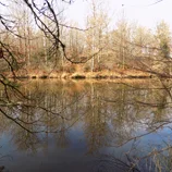 Étang du bois des Bruges