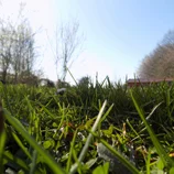 Jardin au niveau du sol