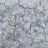 Terre sèche craquelée