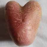 Pomme de terre en forme de cœur